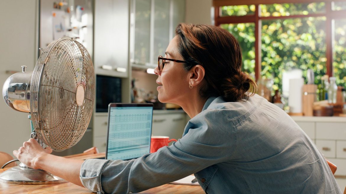 Buying a new fan? These are the models experts have at home