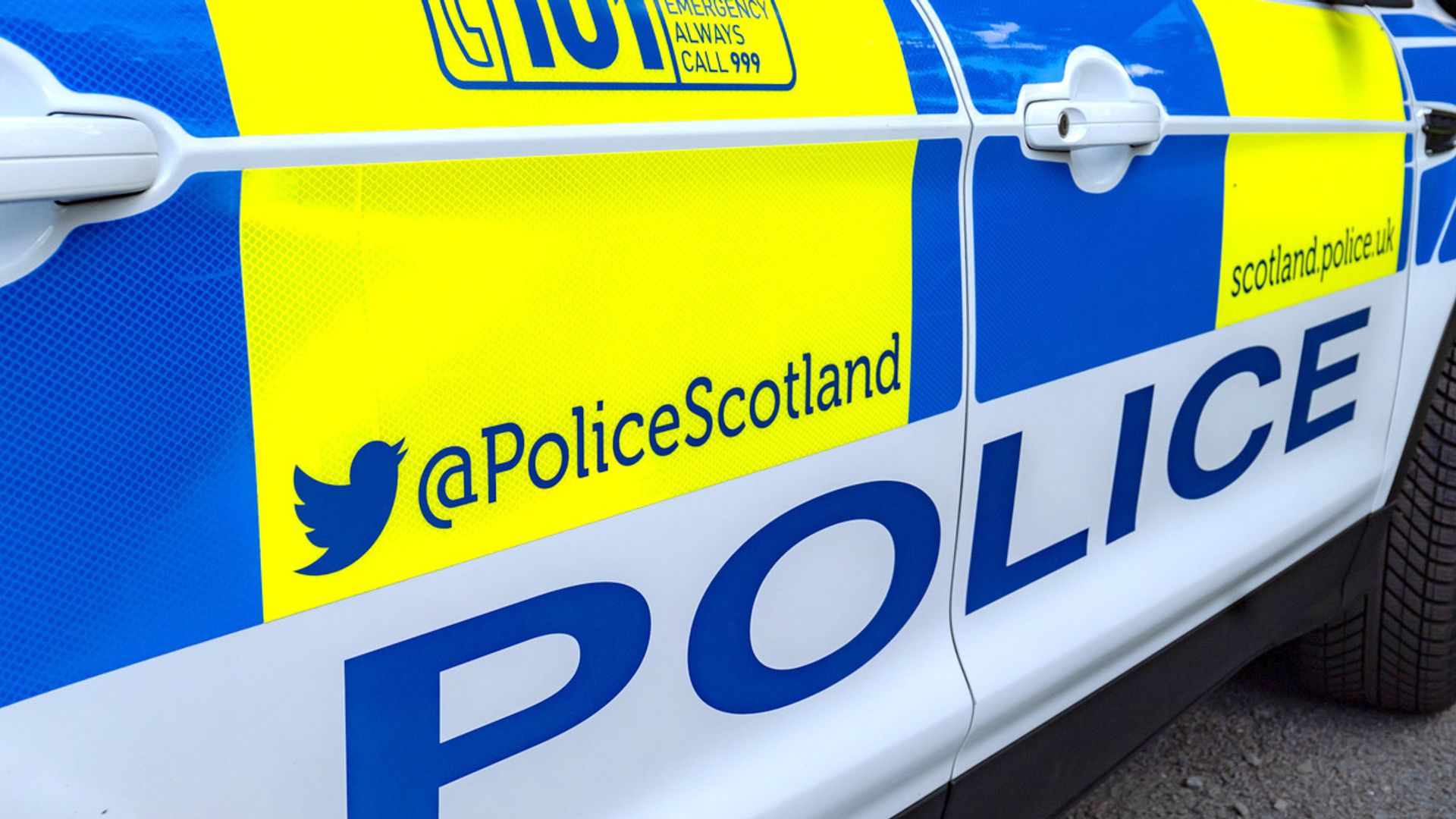 Police find hundreds of cannabis plants worth £174,000 in raid
