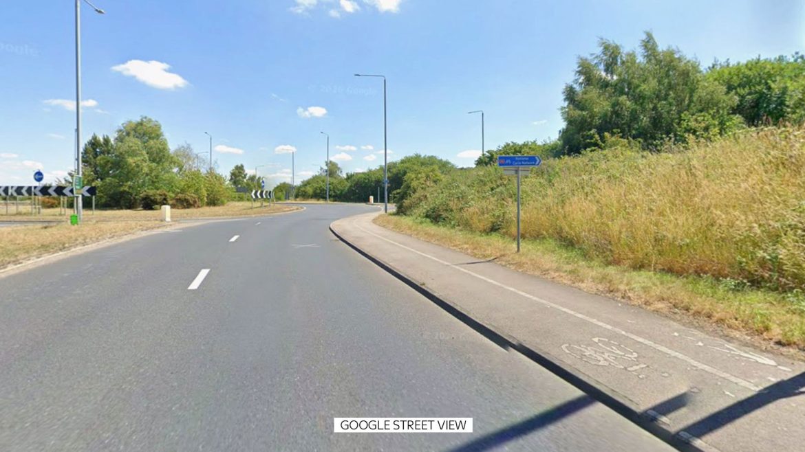 Human skeletal remains found in wooded area