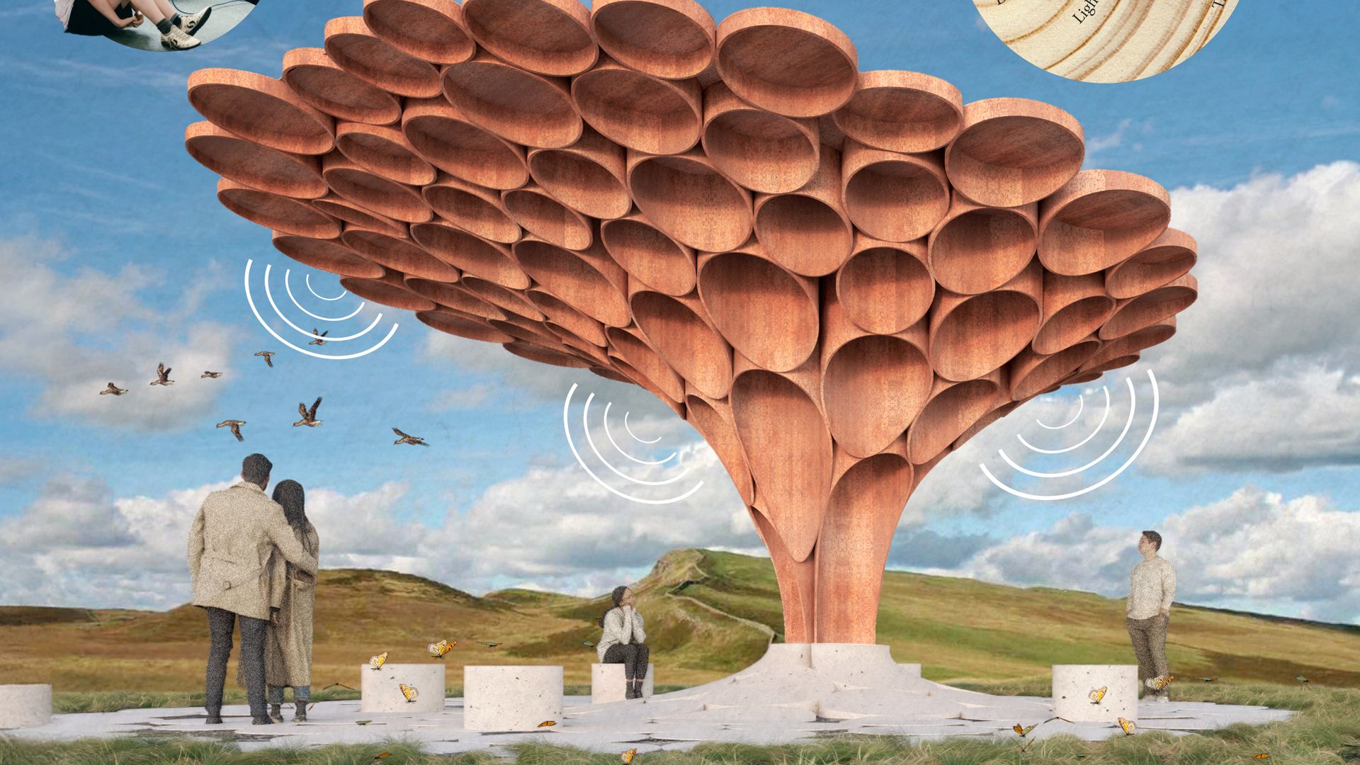 Winner of Sycamore Gap tree artwork competition announced