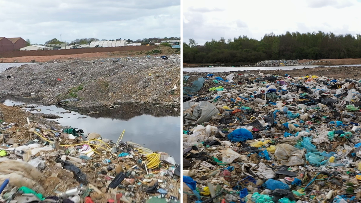 'Even a dead dog could register': Why tougher checks are planned in illegal dumping crackdown