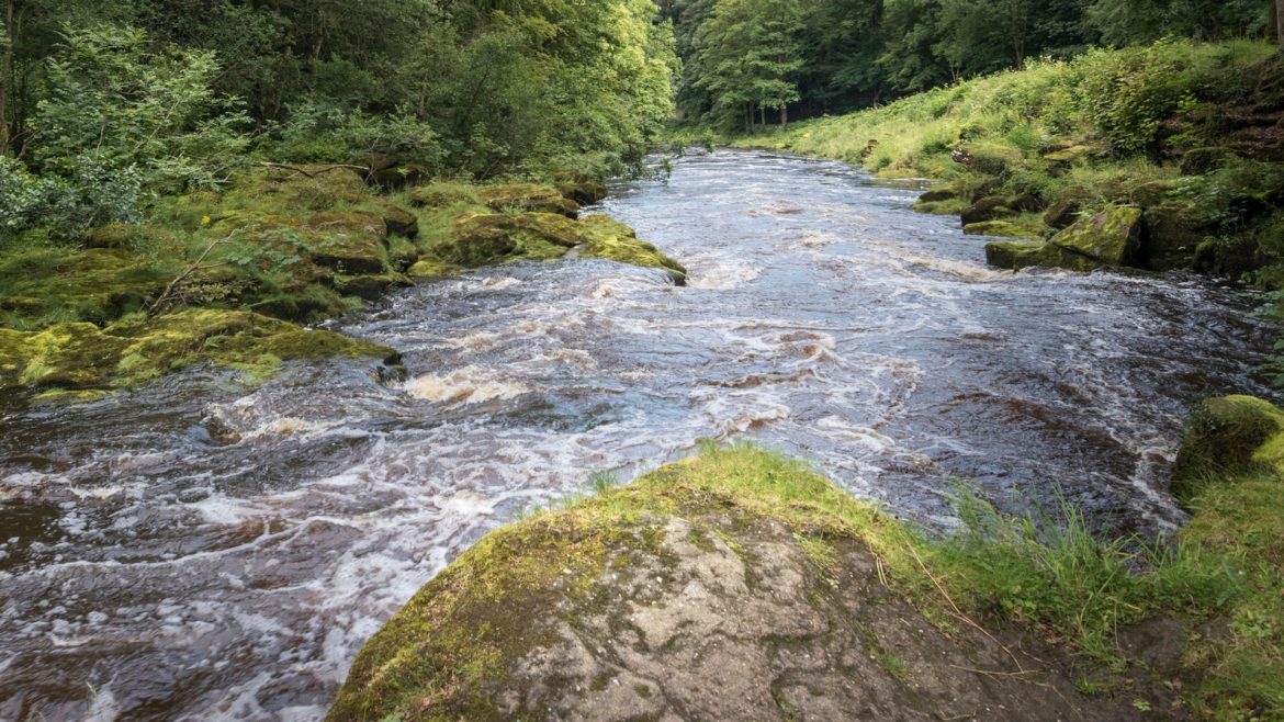 Girl dies after being rescued from river – as number of water deaths during heatwave reaches 17
