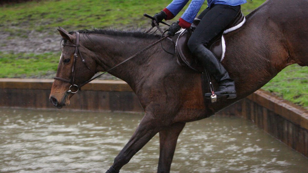 Two cross-country horse riders killed in separate accidents