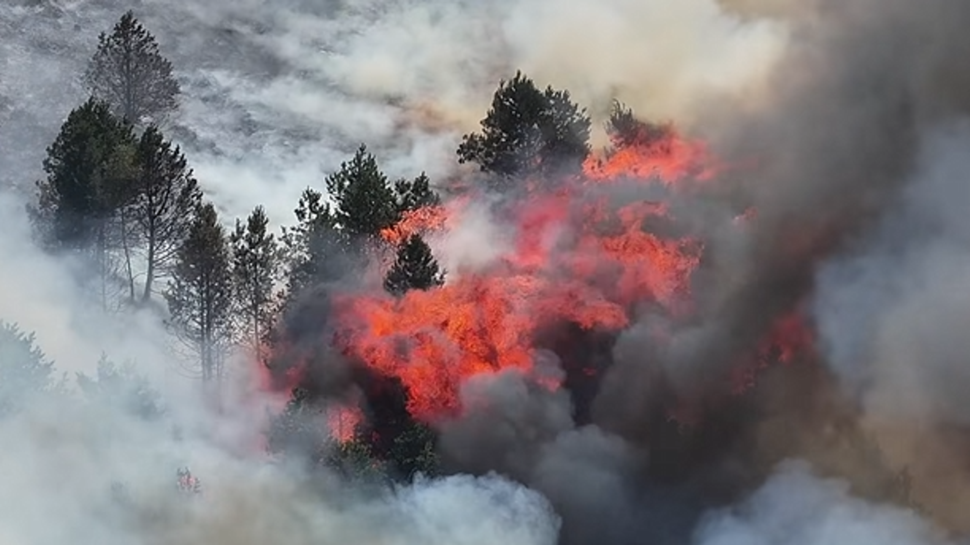 Risk of 'exceptional' wildfires in parts of UK – see which areas are affected