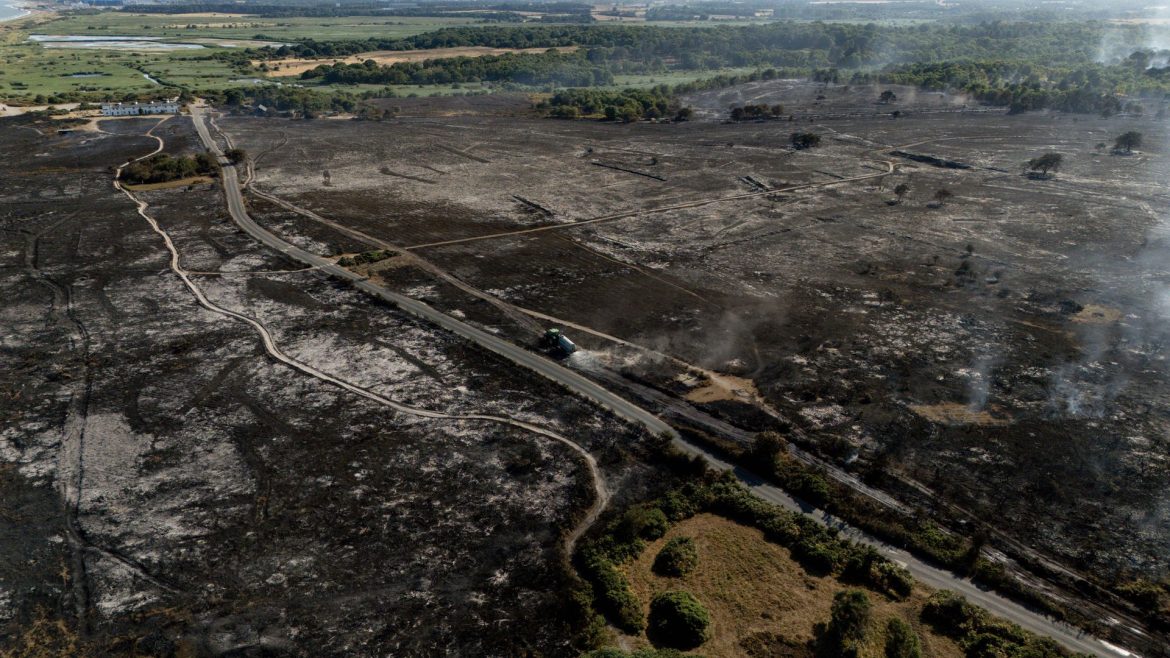 'Total devastation': Suffolk wildfire still burning after two days as National Trust launches appeal