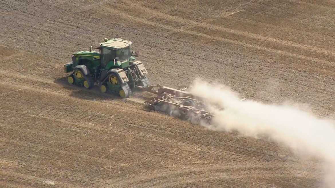 Britain warned national security under threat as 'brutal' harvest hits food production