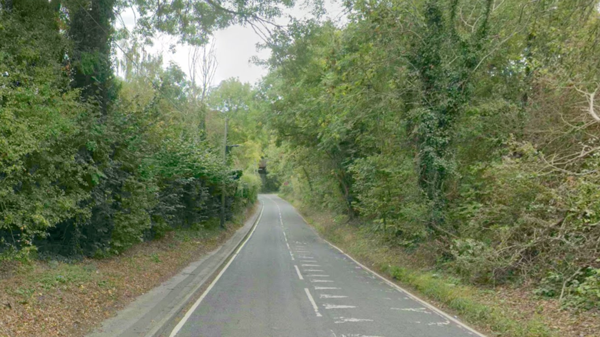 Man dies after being bitten by dog