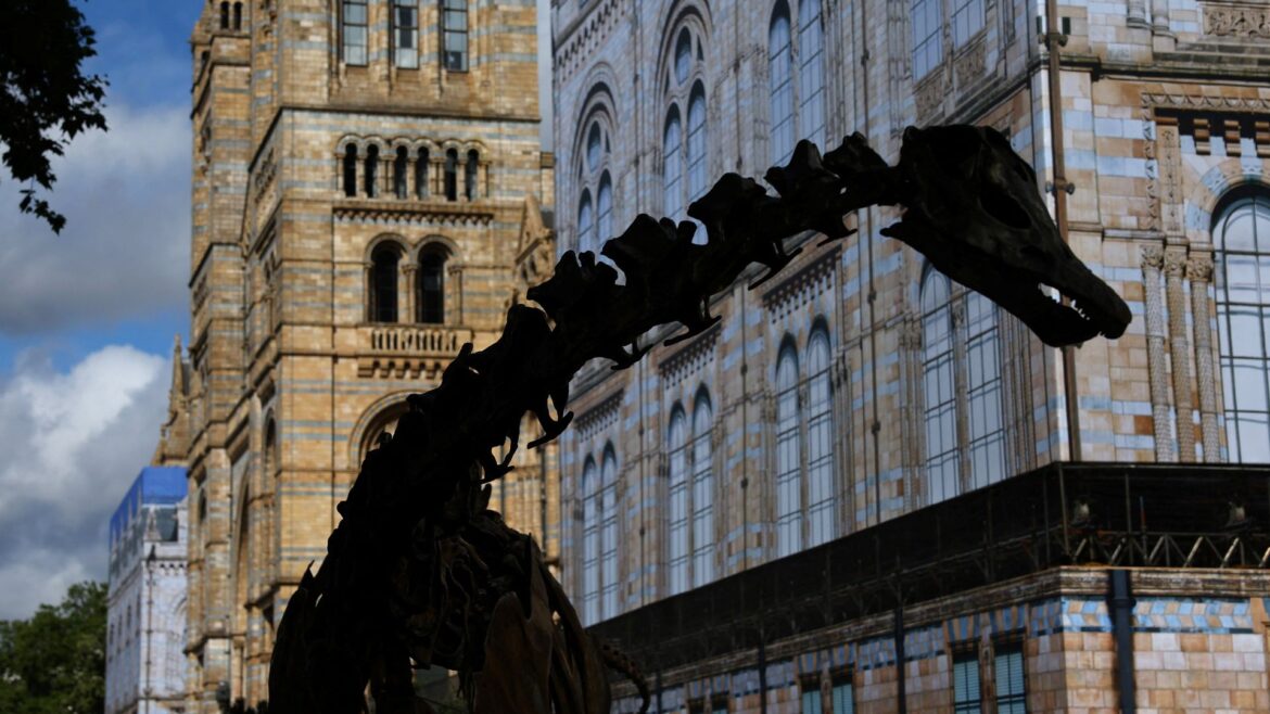 National museums in England to remain free for overseas visitors