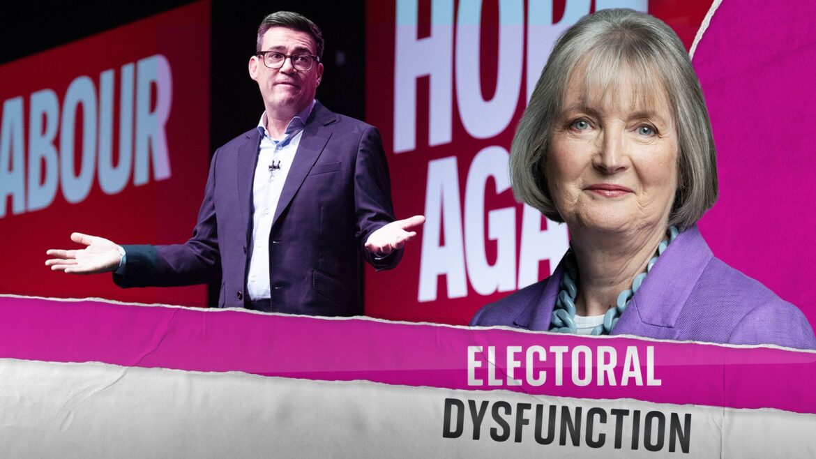 Burnham gives Labour post-landslide euphoria absent under Starmer, says peer